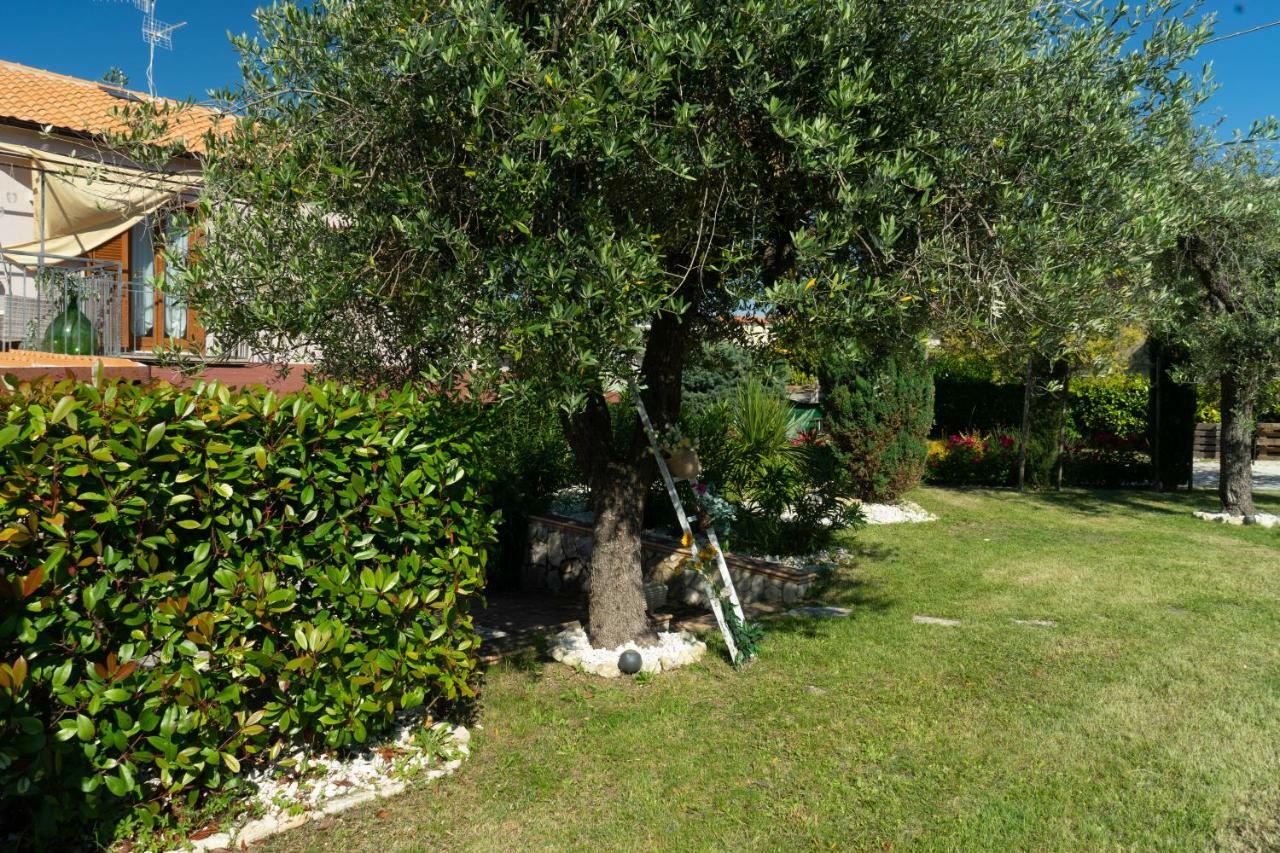 Bed & Breakfast Mafi Orsogna Exterior photo